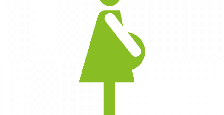 Pregnant lady graphic